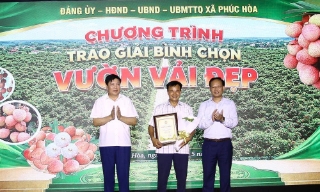 Xã Phúc Hòa tổ chức gala “Đón mùa vải sớm năm 2026”